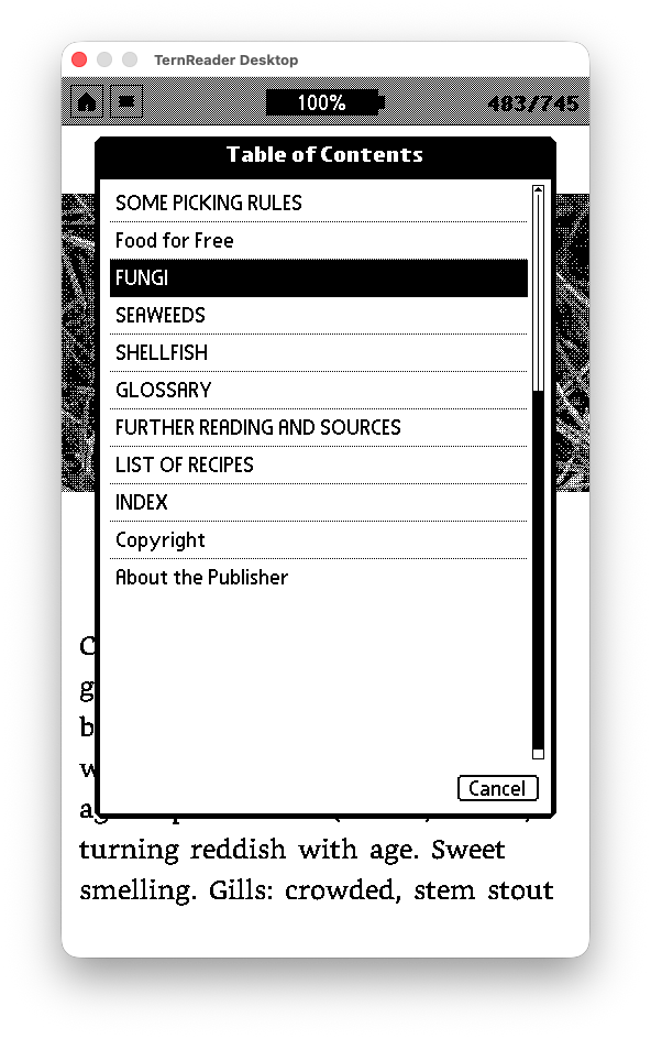 TernOS book content view